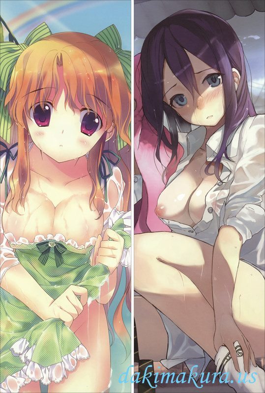 Dengeki Moeoh Dakimakura 3d anime pillow case